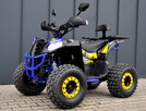 QUAD 125 CC KXD PRO COMMANDER 8 - 2