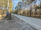 Biała Góra - Dom całoroczny w sercu lasu - 7