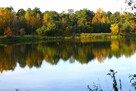 Noclegi Piaseczno pok 2 os. 603-295-725 (15km od Warszawy) - 7