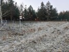 Działki pod zabudowę Jerutki - 3