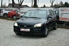 Ford Focus 1.6 101KM 2005r. SALON HB 5drzwi Klima Polecam - 14