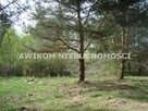 Działka budowlana Szczęsne gm. Grodzisk Mazowiecki - 5
