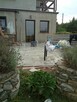 Glazurnictwo - 2
