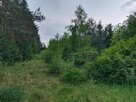 Sprzedam dom 257m2 Dąbrowa duza ,gmi Chynów k Grójca, Warsz - 12