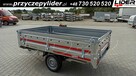 TM-362 przyczepa 254x153x30cm Transporter 2515R 750kg - 5