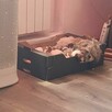 Oddam.shih tzu - 6