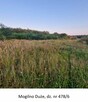Syndyk sprzeda nieruchomość gruntową dz. nr 478.6 Mogilno Du - 1