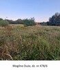 Syndyk sprzeda nieruchomość gruntową dz. nr 478.6 Mogilno Du - 2