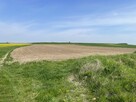 syndyk sprzeda - nieruchomość rolna - 3