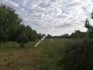 Działka w ciekawej lokalizacji z planem zagosp. - 4
