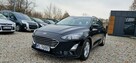 Ford Focus Jeden Właściciel Bezwypadkowy Super Stan - 15