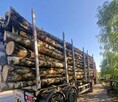 PIĘKNA Brzoza opałowe drewno brzozowe kominkowe, możliwy tra - 2