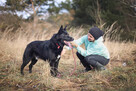 Piękny MIŁEK w typie owczarka szuka domu !! Do adopcji !! - 11