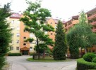 Duży pokój do wynajęcia (20m2) - ul.Mogilska (Tauron, AWF) - 8