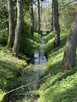 Po łyk zdrowia i natury, przyjedż na MAZURY !!! - 11
