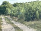 Działka budowlana Karczewko gm. Kiszkowo, Karczewko - 2
