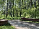 Po łyk zdrowia i natury, przyjedż na MAZURY !!! - 10