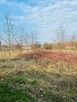 Duża, zielona działka budowlana blisko Wrocławia – 2090 - 4