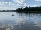 Po łyk zdrowia i natury, przyjedż na MAZURY !!! - 15