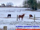 Siedlisko na wsi 35 km od Lublina. - 9