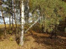 działka zadrzewiona z planem zagospodarowania - 5