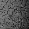 DESKA DRAGON ŚWIERK ELEWACJA DO WNĘTRZ 19x145 2,4M - 9