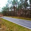 Działka leśna 5,2 ha i rolna 0,55ha Tłuszcz Pawłów Jadów - 2