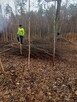 Usługi ogrodnicze trawniki i cięcia żywopłotów. - 5