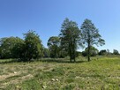Działka leśna Szczecin Skolwin, Inwalidzka - 9