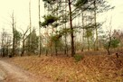 Działka budowlana Krasnystaw - 1