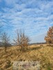 Działka Bożejowice gm. Bolesławiec - 2