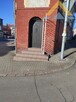 Lokal blisko centrum, blisko jeziora 59 tys.! - 9