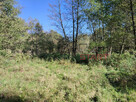 Działka rolna Zboiska gm. Radziejowice, - 2