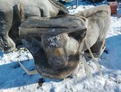 Forma Formy odlewnicze Krowa Krówka Zwierzęta Odlewy Ozdoby - 2