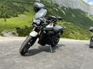 Triumph Tiger 800 - 1