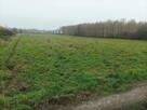 działka rolno budowlana - 2