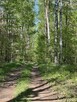 Mazury - Jerutki. Domek 150m od jez. i 50m od lasu - 8