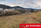 Przestronna działka budowlana w Młyńczyskach - 9