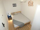 Wynajmę jasne 2 pokoje pet friendly, Wolności 302 - 3