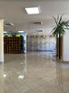 Lokal o powierzchni 470 m2 Centrum Wołomina. - 5