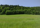 Działka budowlana rekreacyjna w bieszczadach - 3