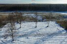 Działka 1720m2 Tomaszew, WZ, skrzynka energetyczna - 8