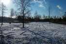 Działka 1549m2 Tomaszew, gm. Wiskitki - 9