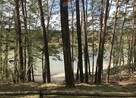 DZIAŁKA ROLNA INWESTYCYJNA NATURA 13951 M2 - 12