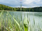 DZIAŁKA ROLNA INWESTYCYJNA NATURA 13951 M2 - 15