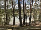 DZIAŁKA ROLNA INWESTYCYJNA NATURA 16093 M2 - 11