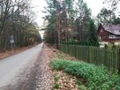 DZIAŁKA Z POTENCJAŁEM W ZIELONEJ OKOLICY - 2