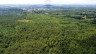 Działka Las Rzeczki w Ostrowcu Św. - 3