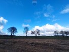 Okazja! Działka 17 km od Kołobrzegu - 4