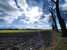 Okazja! Działka 17 km od Kołobrzegu - 5